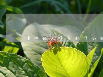 生源地助学贷款什么时候逾期 生源地助学贷款什么时候逾期
