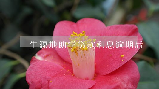 生源地助学贷款利息逾期后 生源地助学贷款利息逾期后