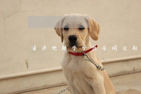 生源地助学贷款合同逾期怎么办 生源地助学贷款合同逾期怎么办