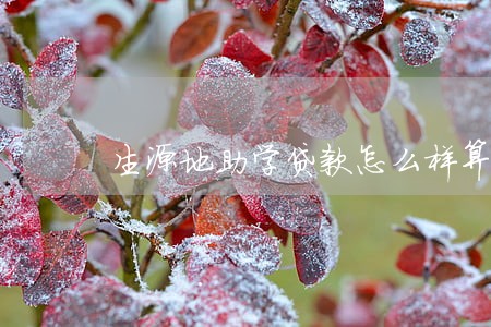 生源地助学贷款怎么样算逾期 生源地助学贷款怎么样算逾期