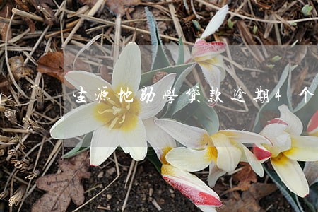 生源地助学贷款逾期4个月 生源地助学贷款逾期4个月