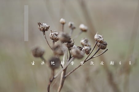 生源地助学贷款逾期60天违规 生源地助学贷款逾期60天违规