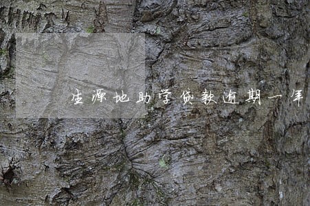 生源地助学贷款逾期一年的后果 生源地助学贷款逾期一年的后果