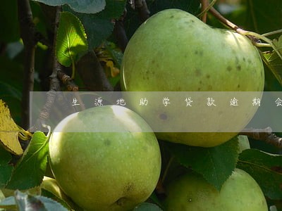 生源地助学贷款逾期会上门吗 生源地助学贷款逾期会上门吗