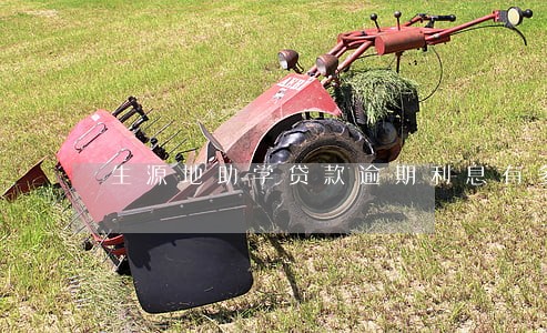 生源地助学贷款逾期利息有多少 生源地助学贷款逾期利息有多少