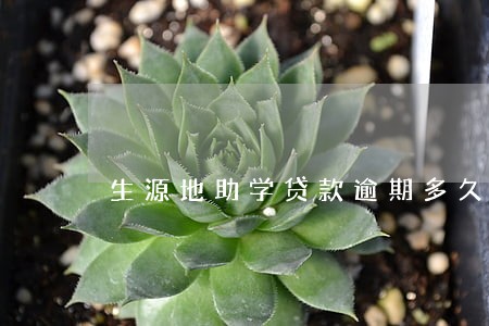 生源地助学贷款逾期多久清除 生源地助学贷款逾期多久清除
