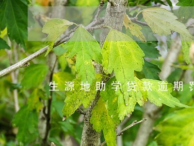 生源地助学贷款逾期罚息 生源地助学贷款逾期罚息