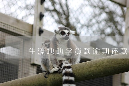 生源地助学贷款逾期还款会怎样 生源地助学贷款逾期还款会怎样