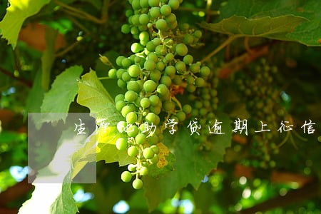 生源地助学贷逾期上征信 生源地助学贷逾期上征信