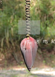 生源地助学贷逾期利息为正常利息