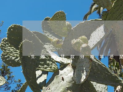 生源地贷款分每年还是逾期吗 生源地贷款分每年还是逾期吗