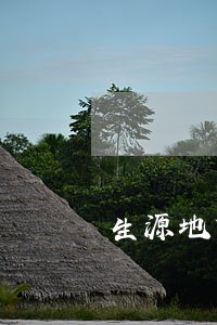生源地贷款利息逾期还款 生源地贷款利息逾期还款