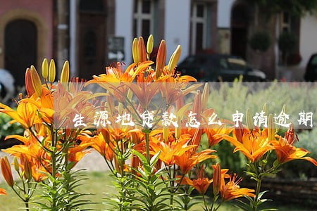 生源地贷款怎么申请逾期 生源地贷款怎么申请逾期
