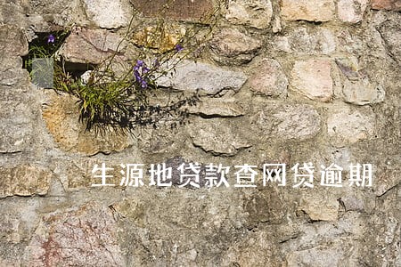 生源地贷款查网贷逾期 生源地贷款查网贷逾期