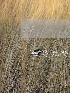 生源地贷款没有逾期记录 生源地贷款没有逾期记录