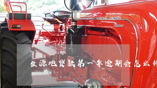 生源地贷款第一年逾期会怎么样