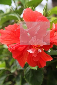 生源地贷款还款逾期了三天 生源地贷款还款逾期了三天