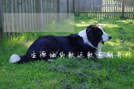 生源地贷款还款逾期有什么后果 生源地贷款还款逾期有什么后果