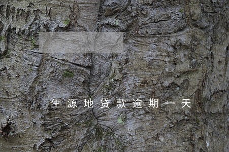 生源地贷款逾期一天 生源地贷款逾期一天