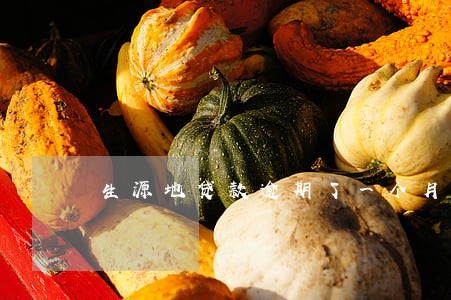 生源地贷款逾期了一个月 生源地贷款逾期了一个月