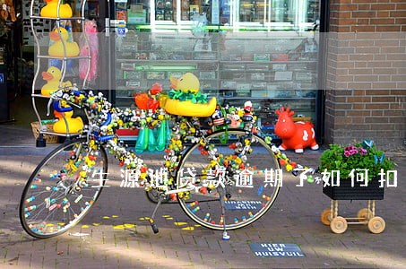 生源地贷款逾期了如何扣款 生源地贷款逾期了如何扣款