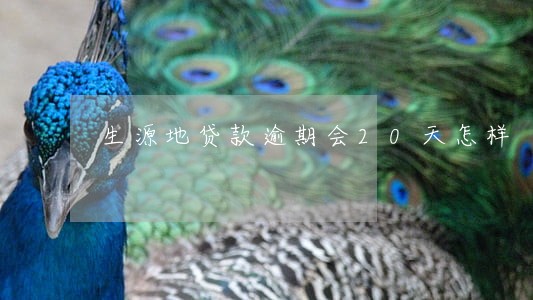 生源地贷款逾期会20天怎样 生源地贷款逾期会20天怎样