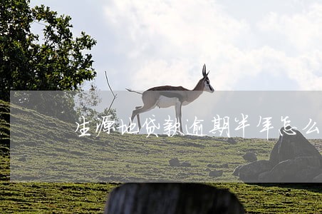生源地贷款逾期半年怎么办 生源地贷款逾期半年怎么办