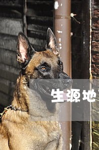 生源地贷款逾期四年 生源地贷款逾期四年