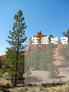 生源地贷款逾期在哪里查看