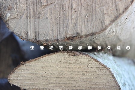 生源地贷款逾期多久能自动消除 生源地贷款逾期多久能自动消除