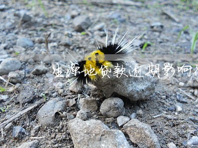 生源地贷款逾期影响征信么 生源地贷款逾期影响征信么