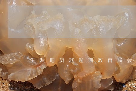 生源地贷款逾期教育局会上门吗 生源地贷款逾期教育局会上门吗
