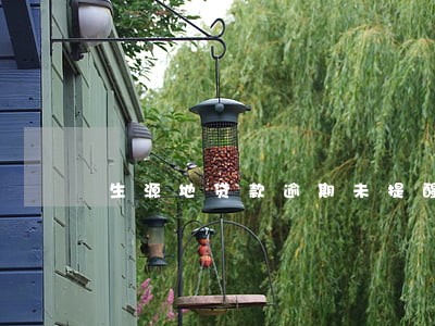 生源地贷款逾期未提醒 生源地贷款逾期未提醒
