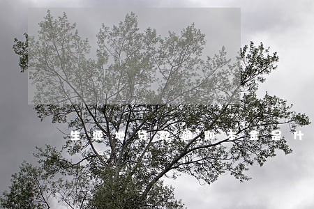 生源地贷款逾期本金是什么意思 生源地贷款逾期本金是什么意思