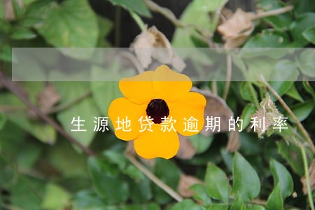 生源地贷款逾期的利率 生源地贷款逾期的利率