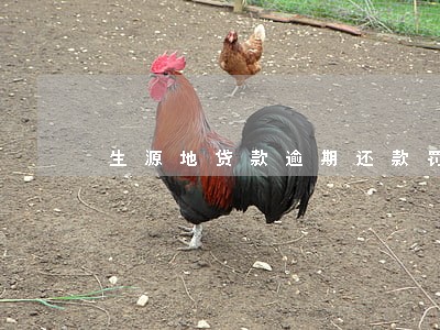 生源地贷款逾期还款罚息 生源地贷款逾期还款罚息