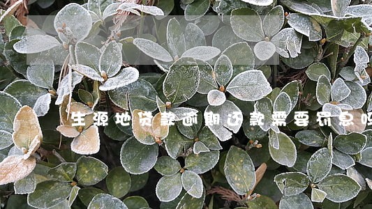 生源地贷款逾期还款需要罚息吗 生源地贷款逾期还款需要罚息吗