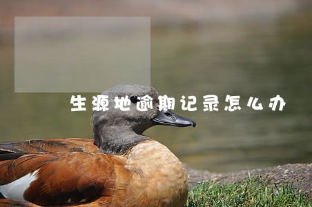 生源地逾期记录怎么办 生源地逾期记录怎么办