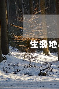 生源地逾期还款利率多少