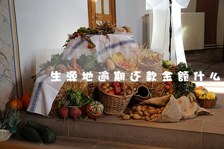 生源地逾期还款金额什么时候查询 生源地逾期还款金额什么时候查询