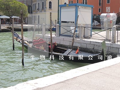 生物科技有限公司逾期事件 生物科技有限公司逾期事件