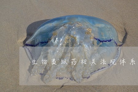 生物类似药相关法规体系研究专栏 生物类似药相关法规体系研究专栏