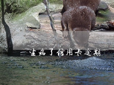 生病了信用卡逾期 生病了信用卡逾期