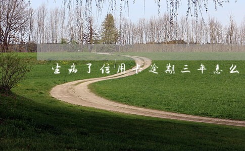生病了信用卡逾期三年怎么办 生病了信用卡逾期三年怎么办