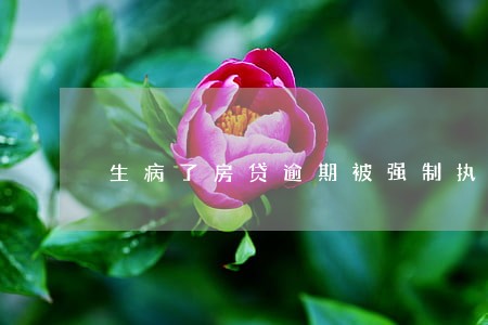 生病了房贷逾期被强制执行 生病了房贷逾期被强制执行
