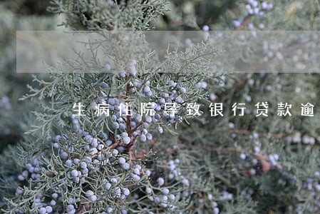 生病住院导致银行贷款逾期 生病住院导致银行贷款逾期