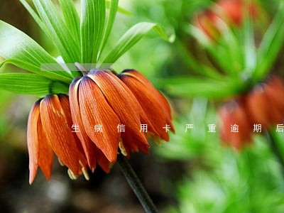 生病信用卡严重逾期后果 生病信用卡严重逾期后果