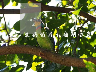 生病信用卡逾期协商 生病信用卡逾期协商