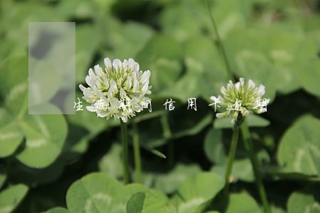 生病期间信用卡逾期 生病期间信用卡逾期