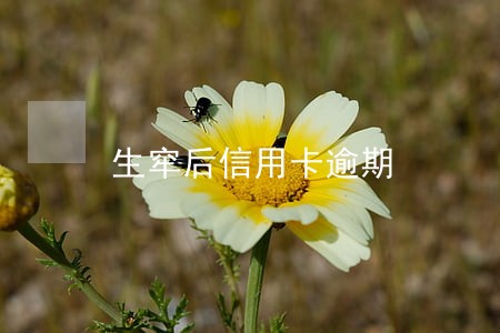 生窂后信用卡逾期 生窂后信用卡逾期